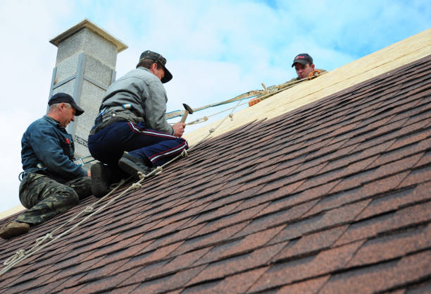 Quick and Trustworthy Emergency Roof Repair Services in Riverview, DE